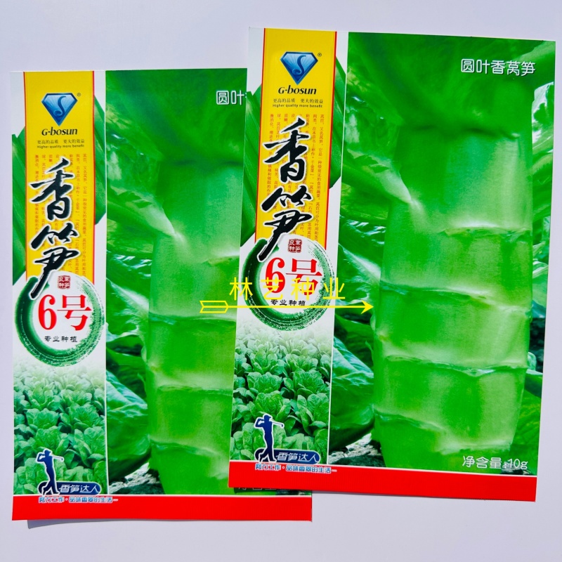 香笋6号莴笋种子圆叶耐寒晚熟香莴苣种籽秋冬早春种植