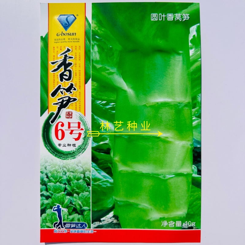 香笋6号莴笋种子圆叶耐寒晚熟香莴苣种籽秋冬早春种植