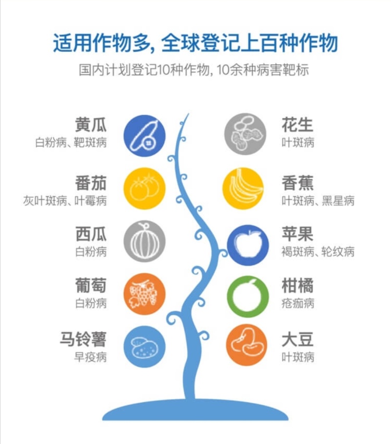 先正达美甜苯甲氟酰叶斑病白粉病正品农药进口霉病疮痂杀菌剂