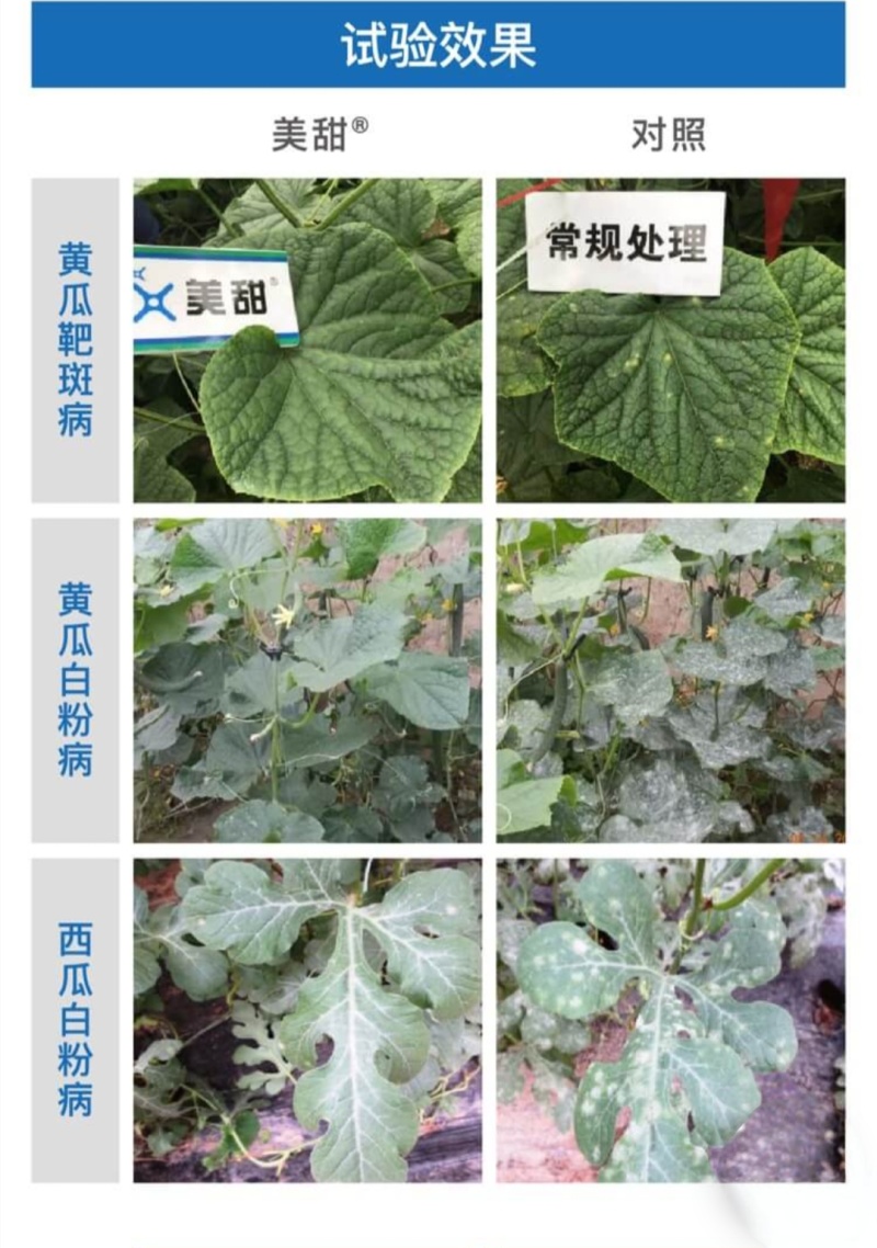 先正达美甜苯甲氟酰叶斑病白粉病正品农药进口霉病疮痂杀菌剂
