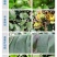 先正达美甜苯甲氟酰叶斑病白粉病正品农药进口霉病疮痂杀菌剂