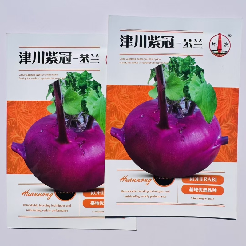 丕兰种子津川紫冠水果苤蓝菜种子紫苤兰种子天津苤蓝大头菜种