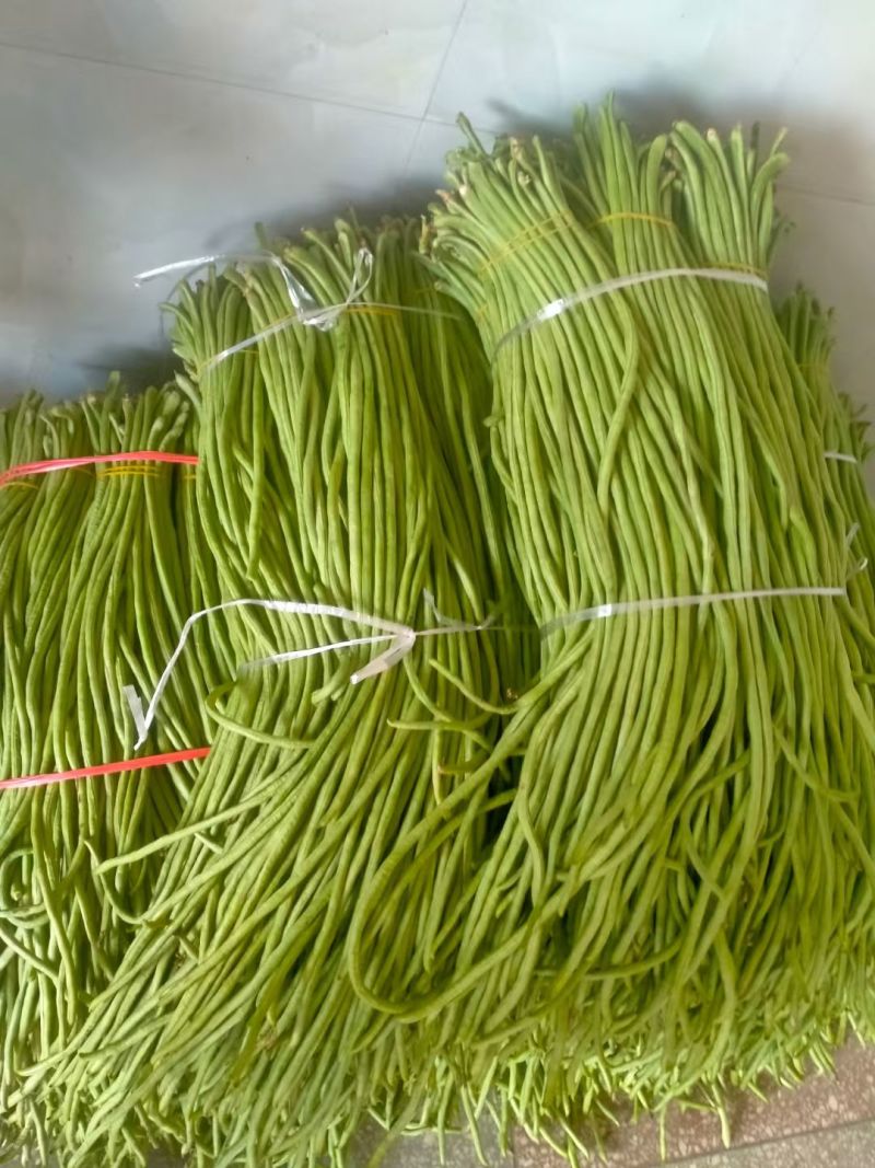 绿翡翠长豆角长豆角，产地大量种植直供，一手货源