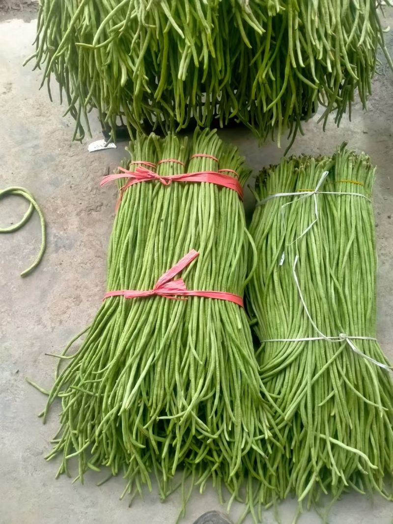 绿翡翠长豆角长豆角，产地大量种植直供，一手货源