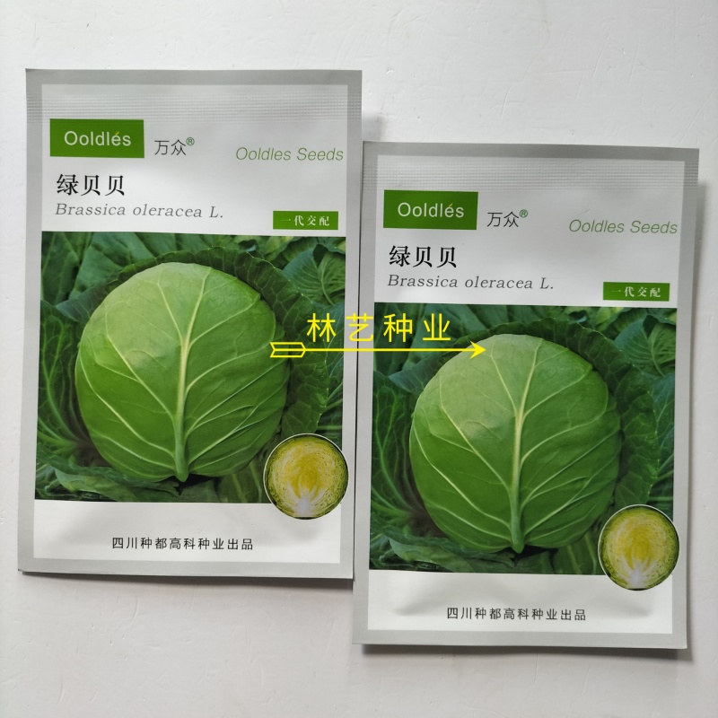 绿贝贝甘蓝种子中早熟黄心圆球翠绿结球紧实产高春秋播甘