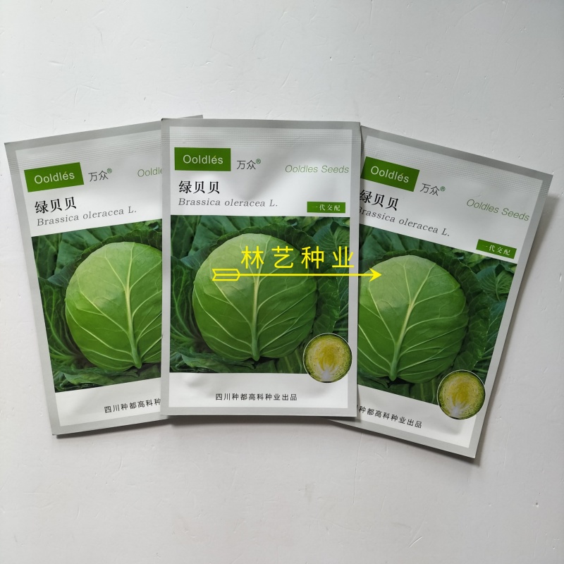绿贝贝甘蓝种子中早熟黄心圆球翠绿结球紧实产高春秋播甘