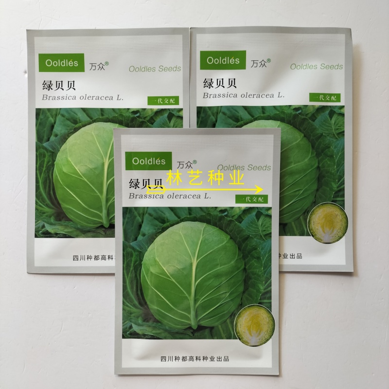 绿贝贝甘蓝种子中早熟黄心圆球翠绿结球紧实产高春秋播甘