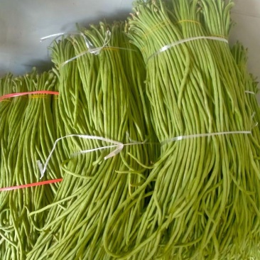 绿翡翠长豆角长豆角，产地大量种植直供，一手货源
