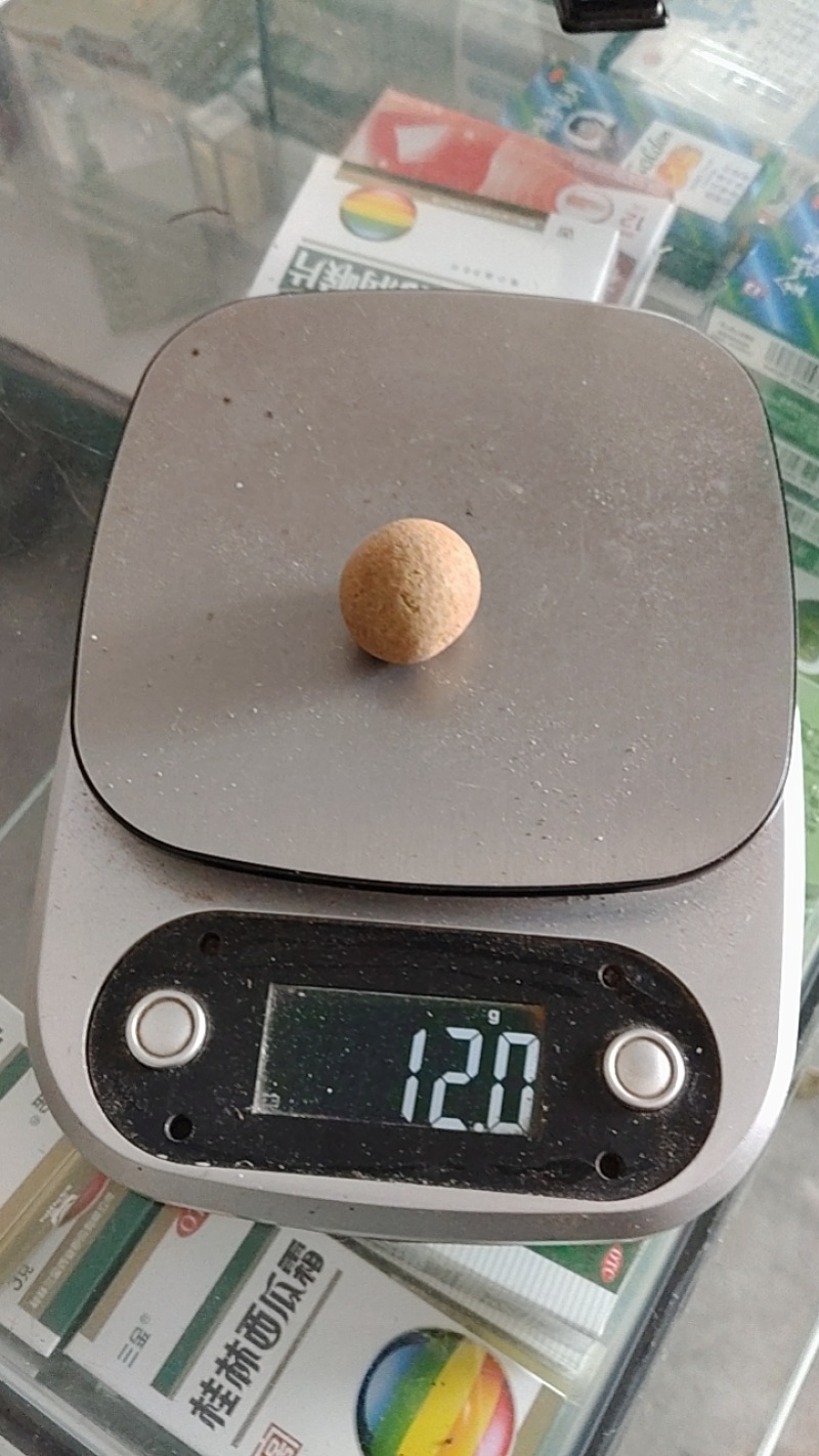 陆丰龙眼