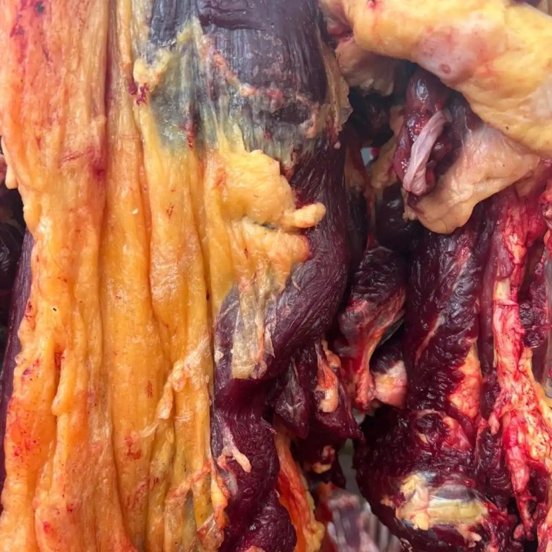 牦牛肉