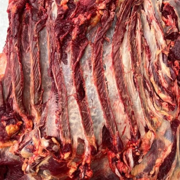 牦牛肉