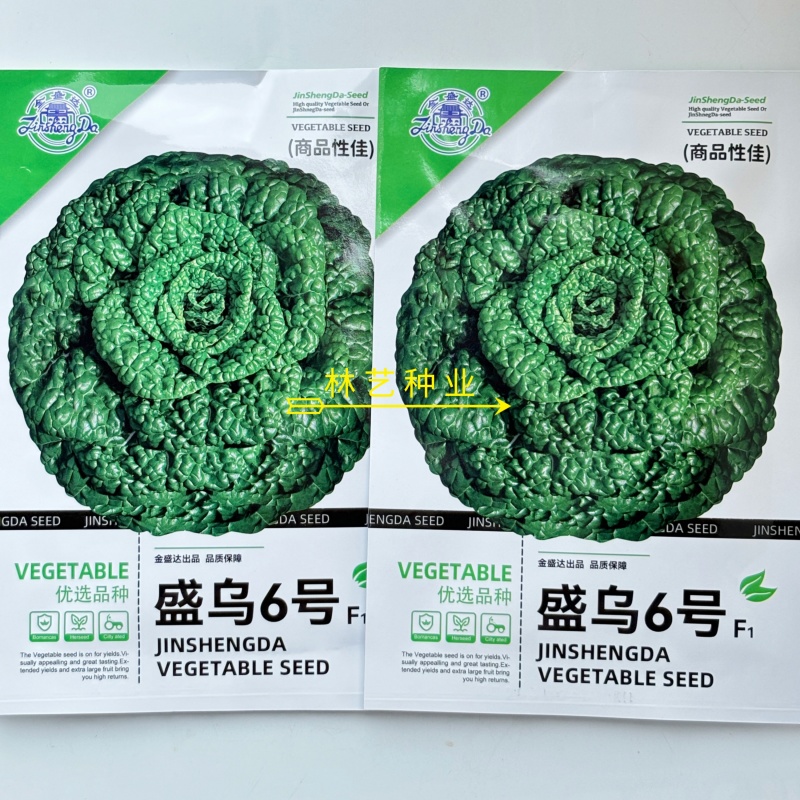 盛乌6号乌塌菜种子口感好墨绿油亮高产耐寒商品性佳秋季播