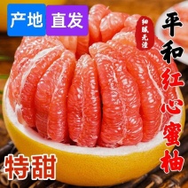 福建平和三红柚子红心蜜柚，产地直发，专业对接电商，市场果