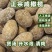 正宗福建咸橄榄，榄味浓郁，*畅销的款