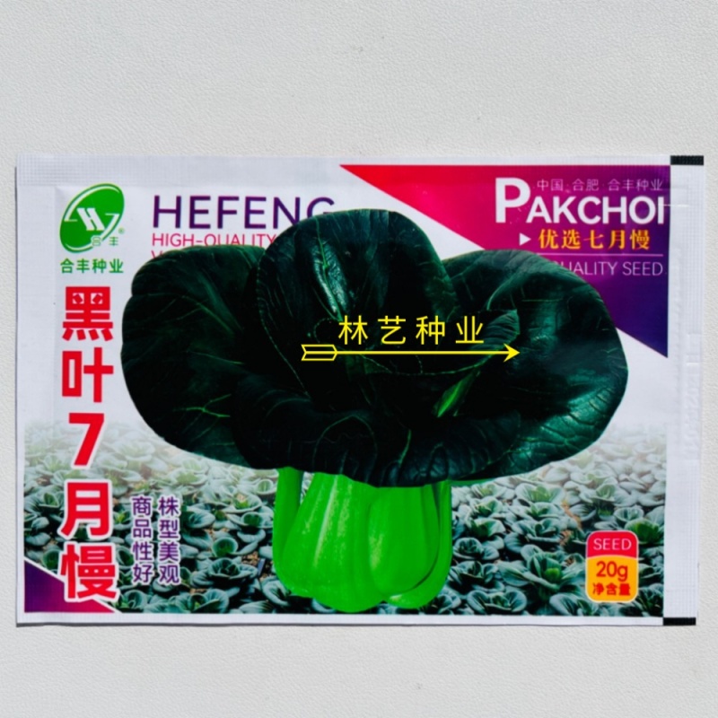 黑叶7月慢青梗菜种子优质高产耐寒耐抽苔农家秋冬季播种精选