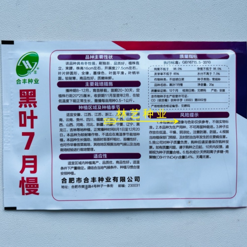 黑叶7月慢青梗菜种子优质高产耐寒耐抽苔农家秋冬季播种精选