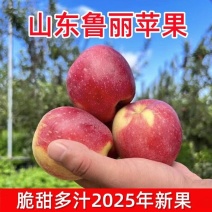《鲁丽苹果》电商批发一件代发/果园现摘现发/可全国发货