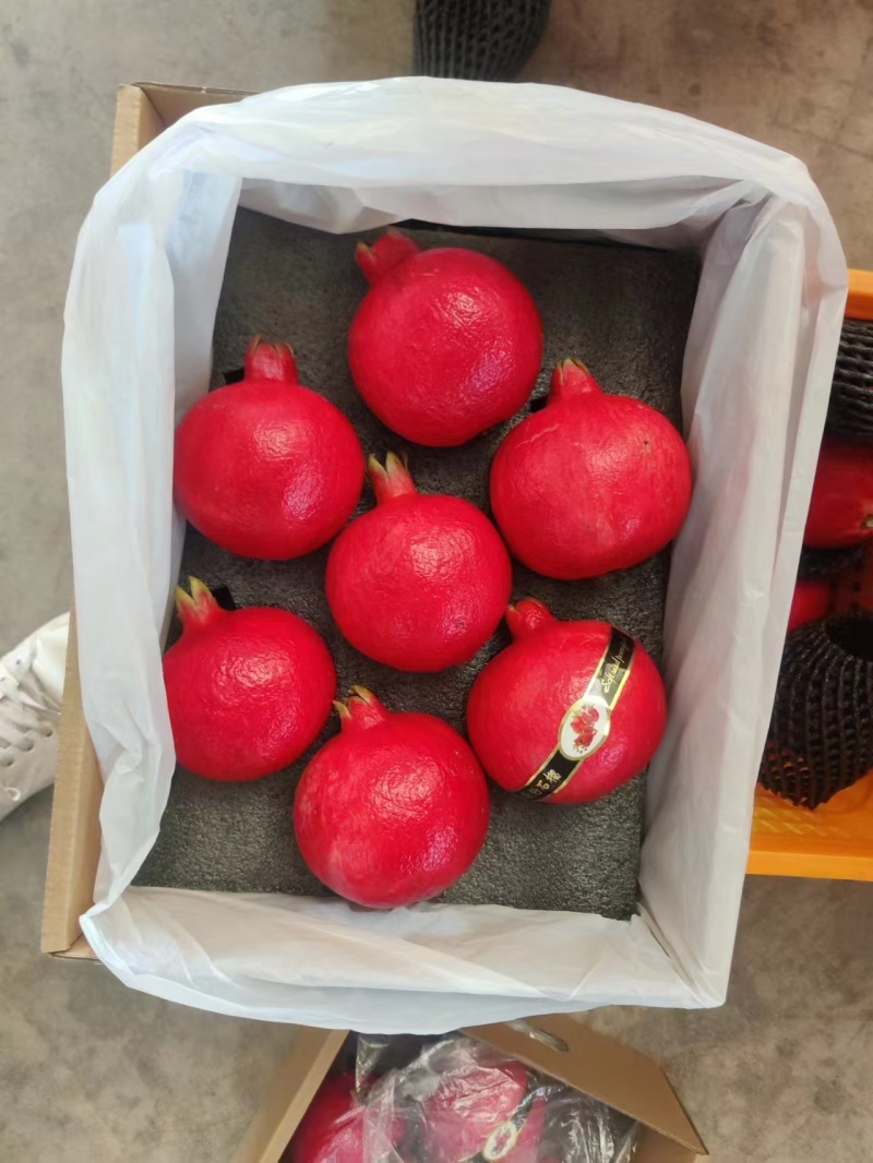【实力供应】石榴全渠道供货承接出口单品质三包