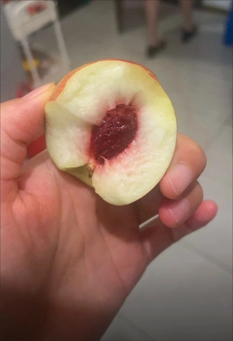 【现货】珍珠枣油桃小桃子现摘新鲜白肉脆甜批发代发
