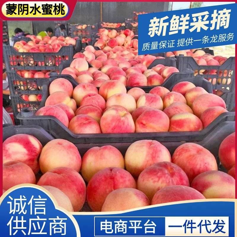 《水蜜桃》一件代发&电商平台/蒙阴水蜜桃/现摘现发