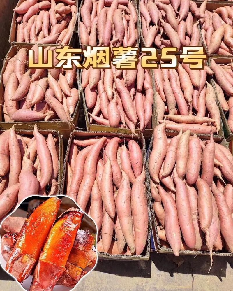 《一件代发》烟薯&山东蜜薯/电商～批发～带货～供应链