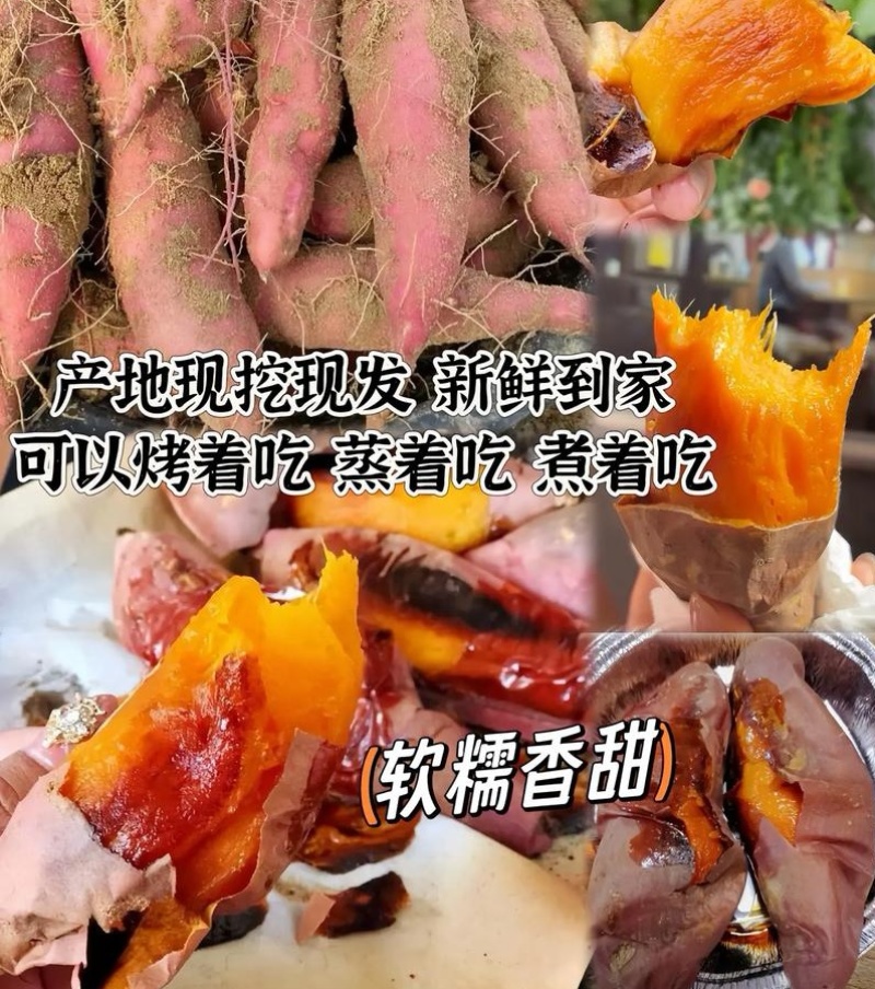 《一件代发》烟薯&山东蜜薯/电商～批发～带货～供应链