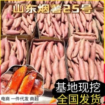 《烟薯》山东蜜薯/电商批量代发/一件代发/电商供应链