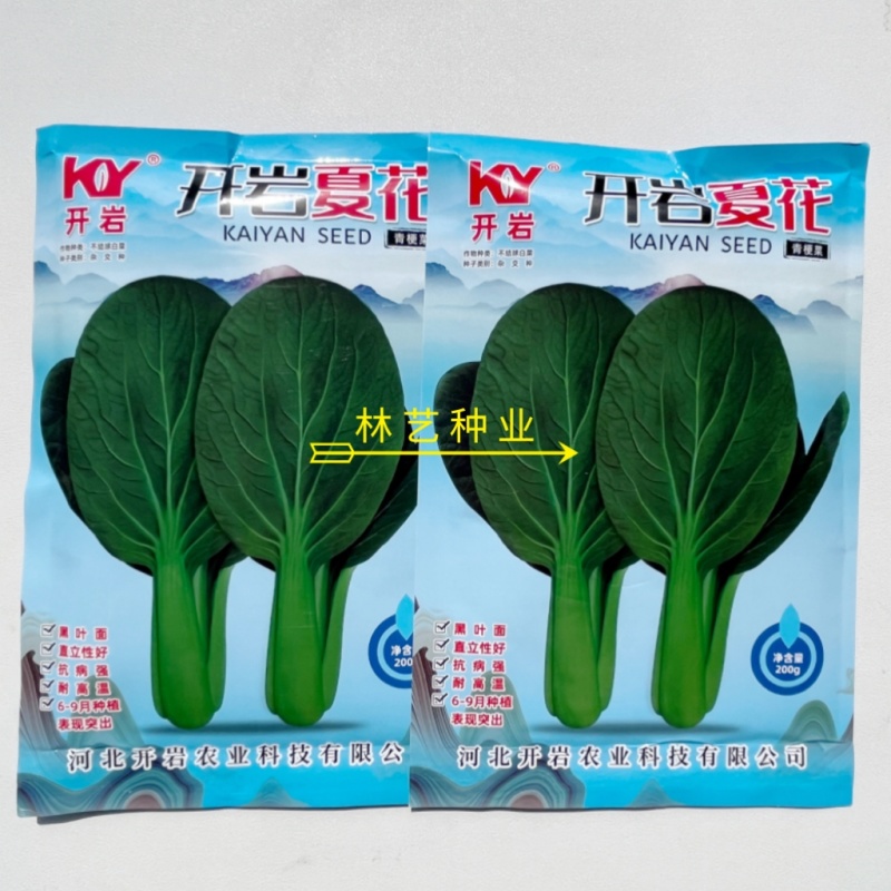 开岩夏花耐热青梗菜种子大叶面墨绿直立性好抗病强上海青蔬菜