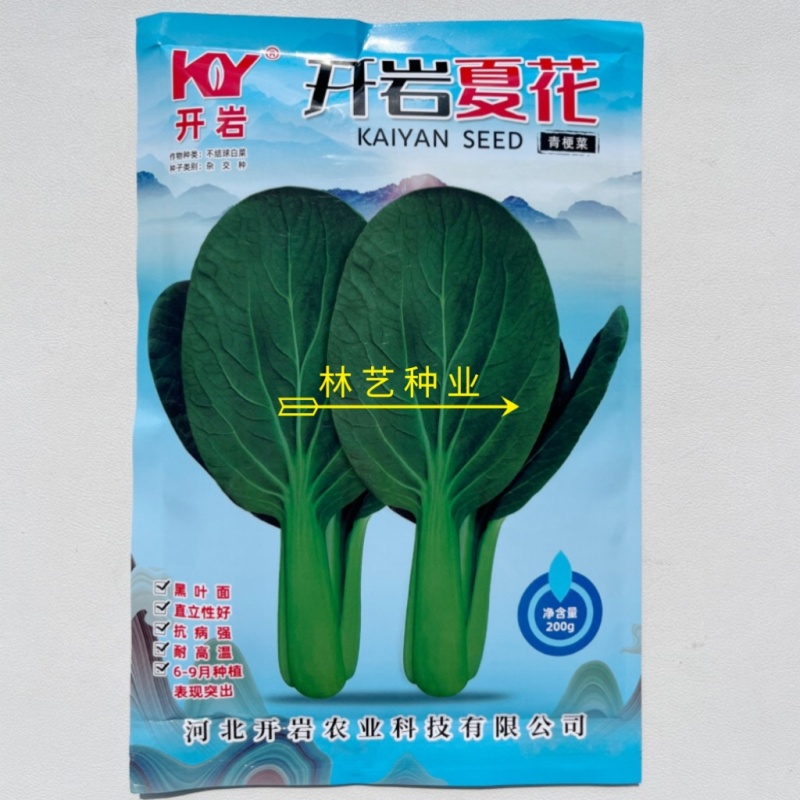 开岩夏花耐热青梗菜种子大叶面墨绿直立性好抗病强上海青蔬菜