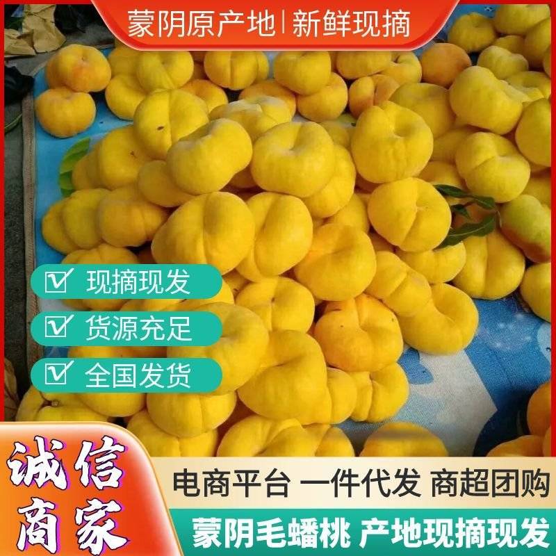 《一件代发》黄毛蟠桃/蒙阴黄毛蟠桃/现摘现发/电商平台