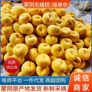 【一件代发】黄毛蟠桃&蒙阴毛蟠桃/对接电商平台社区团购