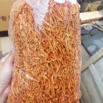 虫草花