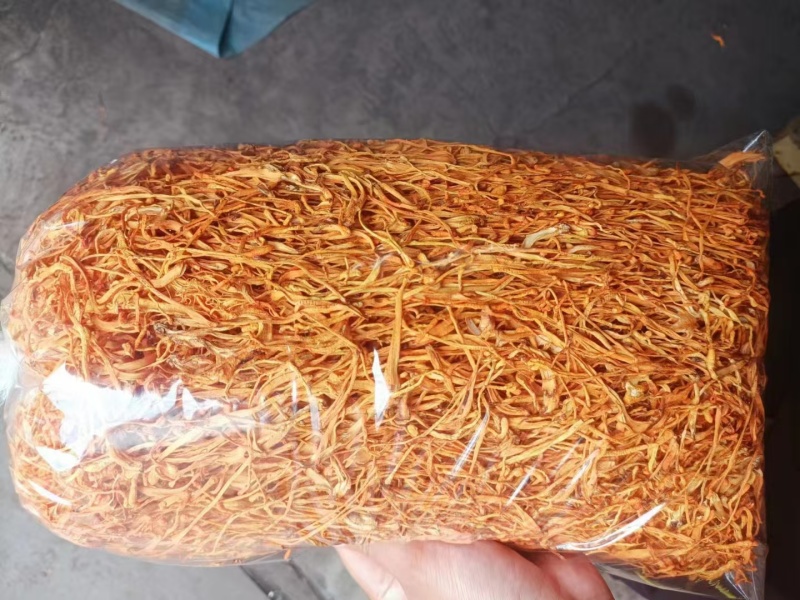 虫草花