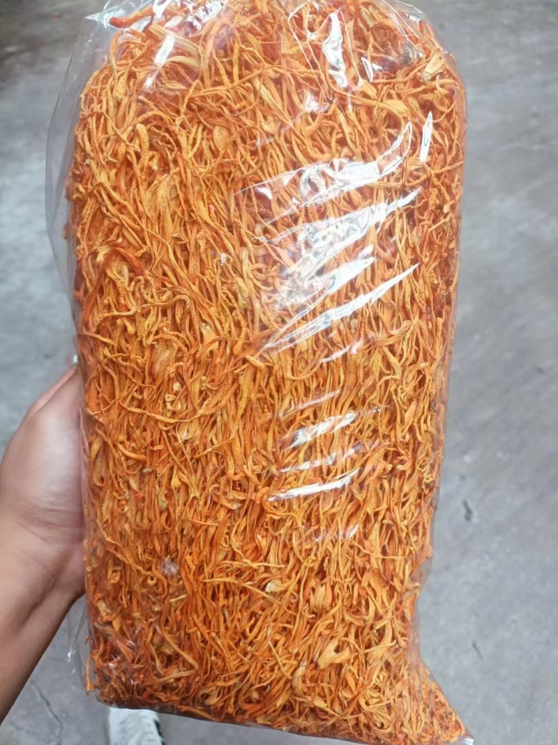 虫草花