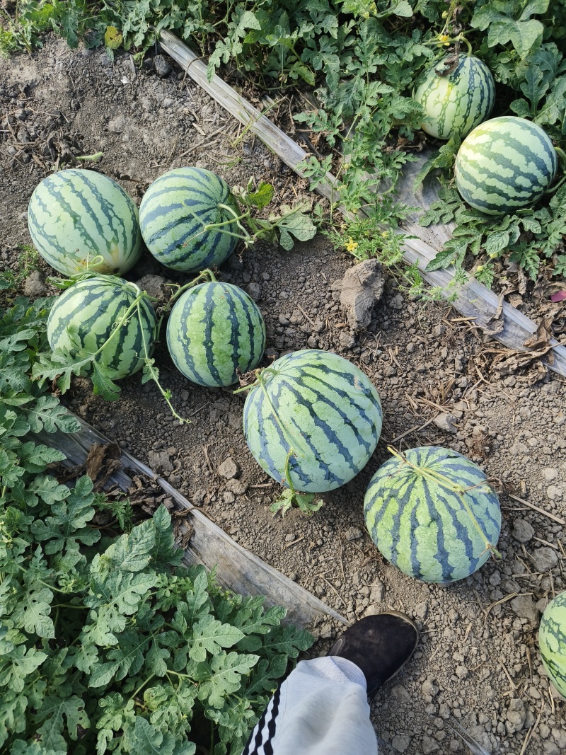 自产自销