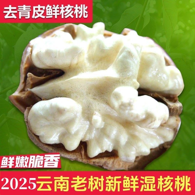 2025现货云南新鲜去青皮湿核桃去青皮鲜核桃嫩核桃鲜核桃薄皮