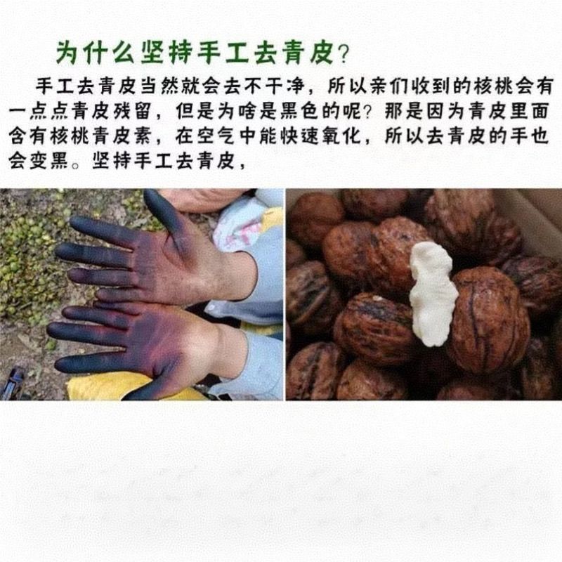 2025现货云南新鲜去青皮湿核桃去青皮鲜核桃嫩核桃鲜核桃薄皮