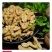 新货生核桃仁500g新鲜小包装去壳孕妇零食原味大