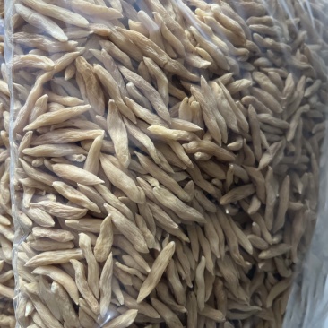 精品山麦冬20-58价位需要的联系，价格可以优惠