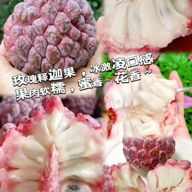 热带水果番荔枝玫瑰红释迦果软糯香甜牛奶释迦摩尼果新鲜批发水果