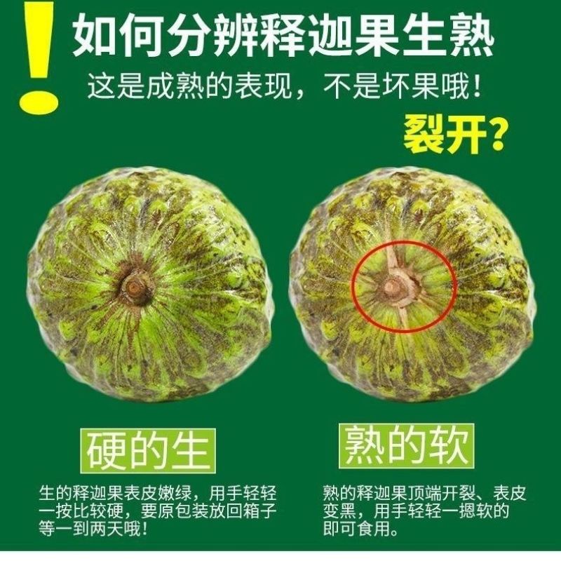 新鲜释迦果佛头果番荔枝牛奶凤梨超甜大果礼盒装