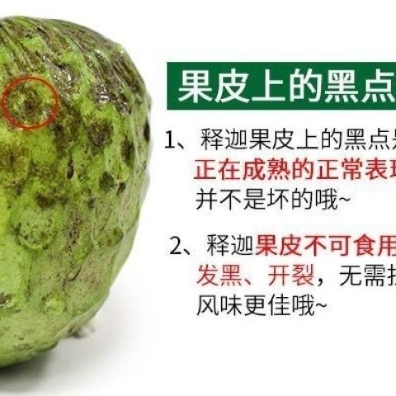 新鲜释迦果佛头果番荔枝牛奶凤梨超甜大果礼盒装