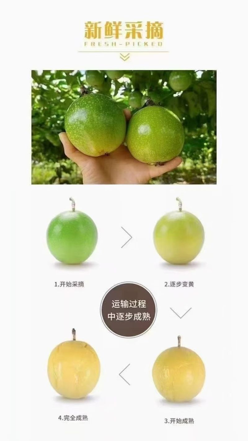 来自福建武平自家农田种的头茬果，口感纯甜，不打各种狠活！