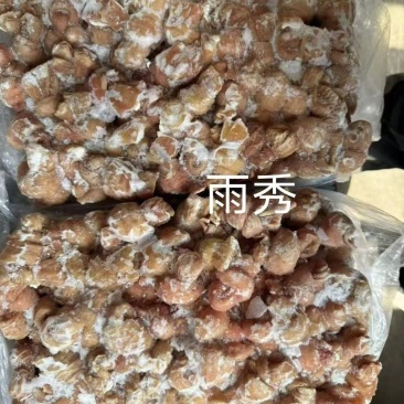 雨秀冒节子(加工时十二指肠全部去掉，没有土腥味和苦味)
