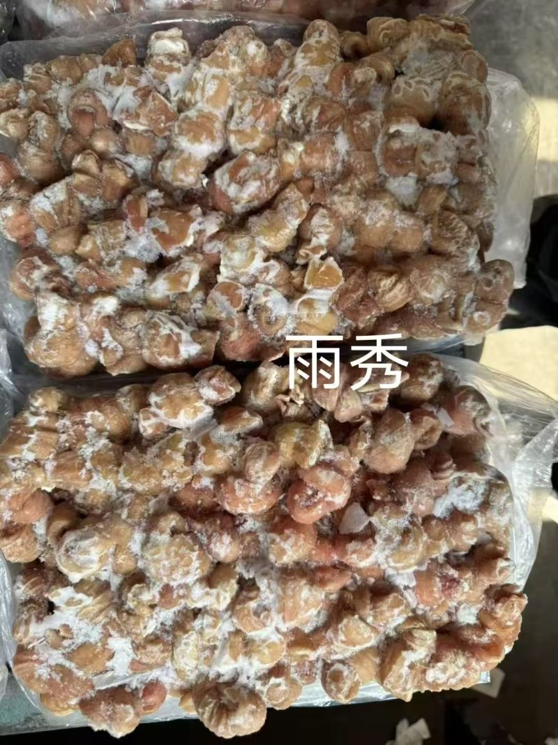 雨秀冒节子(加工时十二指肠全部去掉，没有土腥味和苦味)
