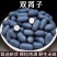 石莲子苦石莲双肾子批发广西产地直销野生自然成熟