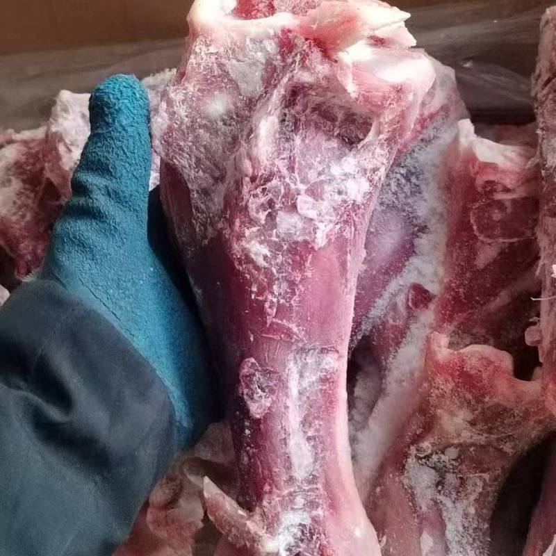 小牛后腿骨，小牛后腿骨，单根重量1.5斤左右