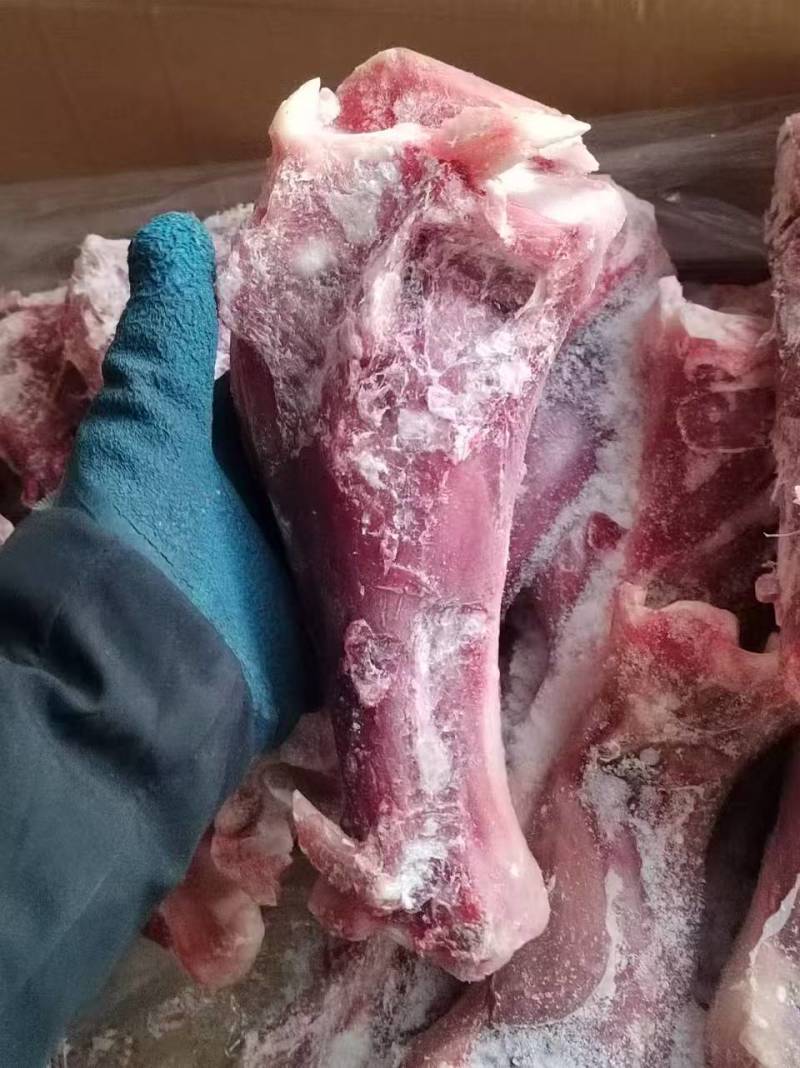 小牛后腿骨，小牛后腿骨，单根重量1.5斤左右
