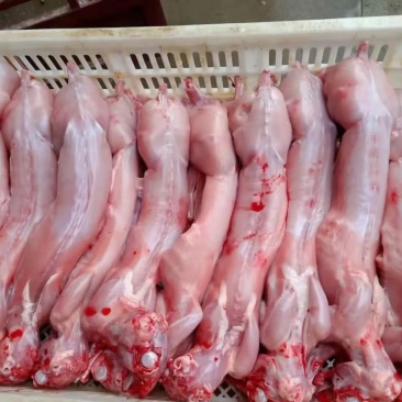 生鲜兔肉
