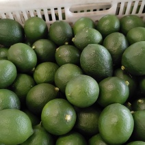 青柠檬